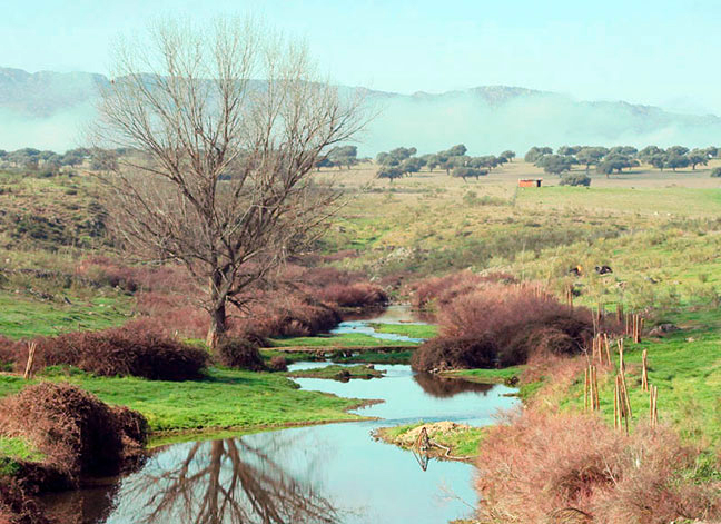 ruta arroyo pelochejo