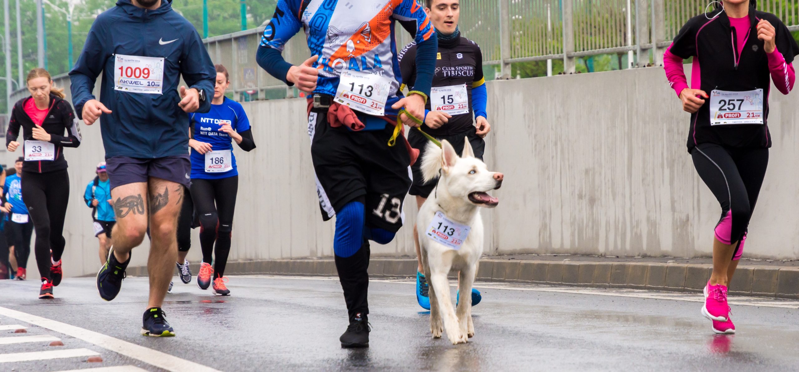 Última carrera del Año 2019