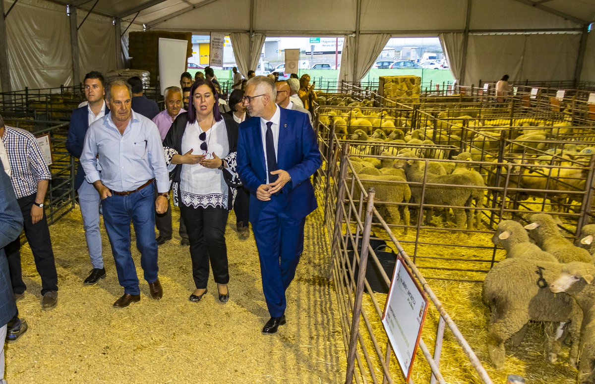 X Feria Ganadera 2020