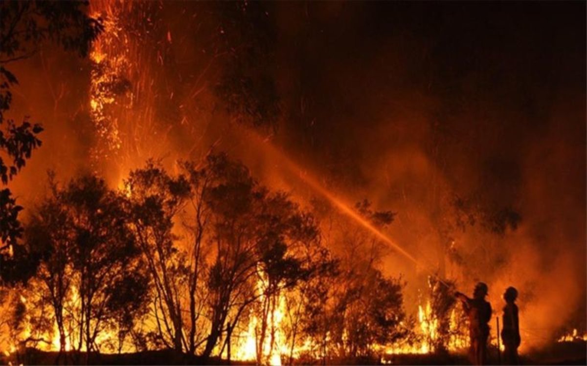 Bando: época de peligro de incendios