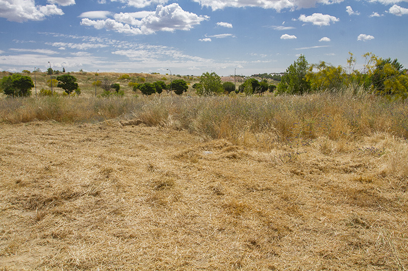 Prevención de incendios: limpieza de parcelas