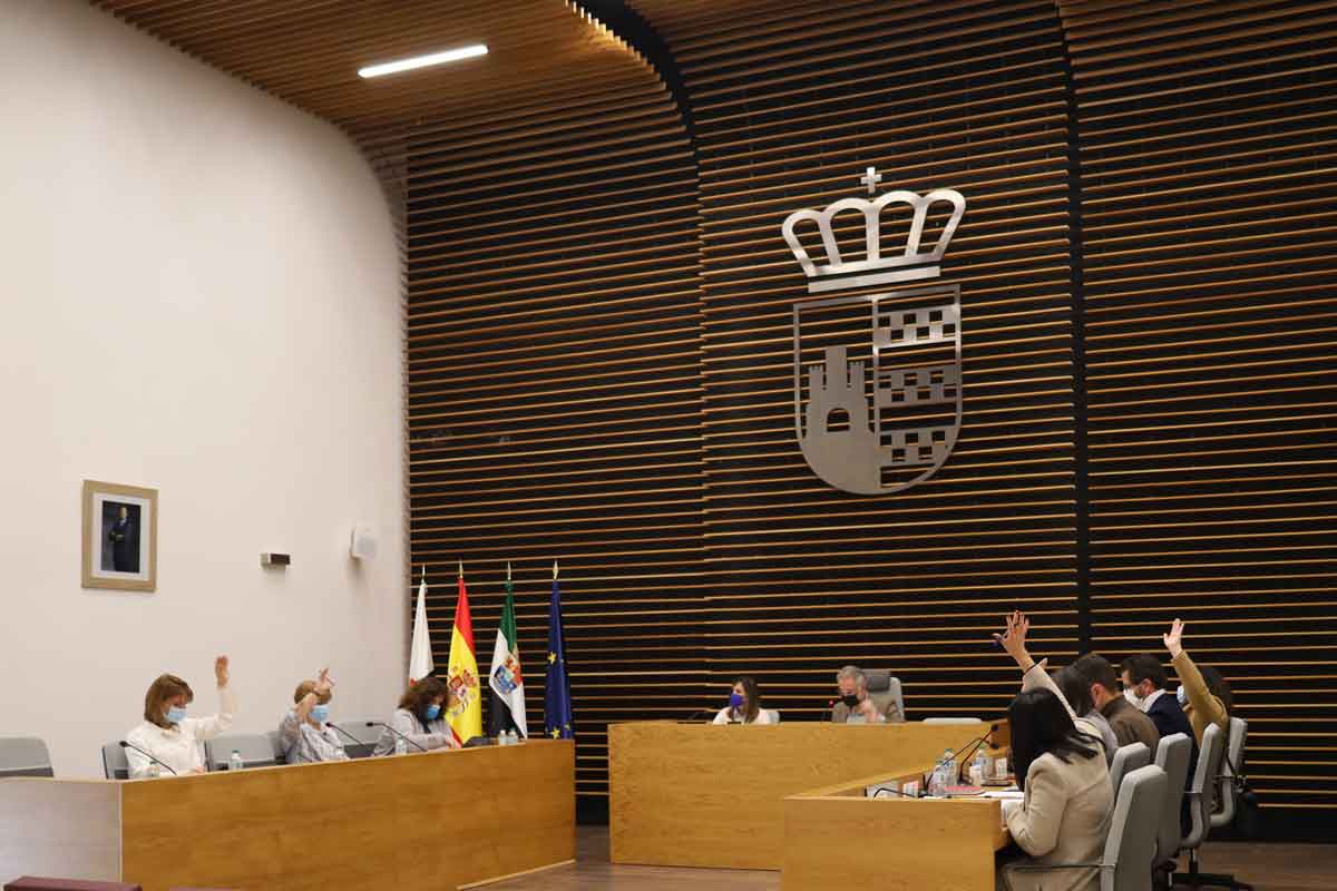 Pleno Ordinario 31 de marzo de 2022