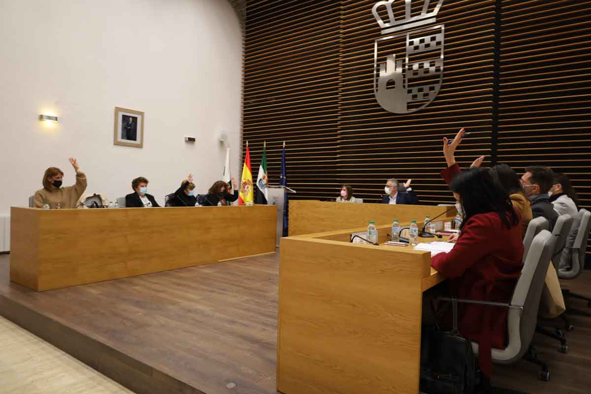 Pleno ordinario 28 de abril de 2022