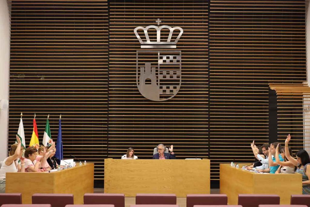 Crónica Pleno 30 de Junio