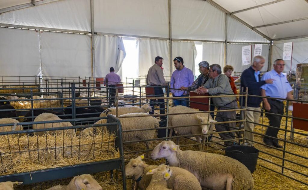 XIII Feria Ganadera y Agroturística de La Siberia