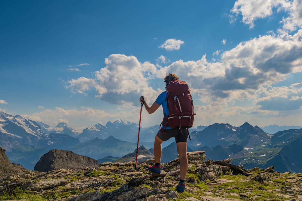Ruta Senderista |  Sendero de la Dehesa