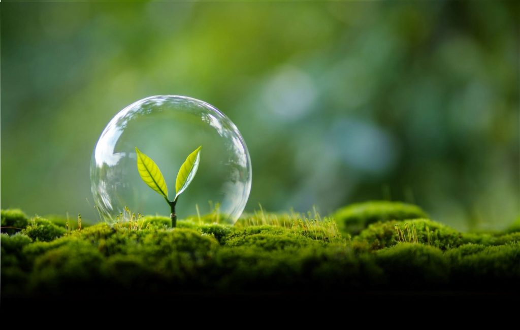 Herrera del Duque acogió el primer encuentro internacional del proyecto europeo REUSE4WILL