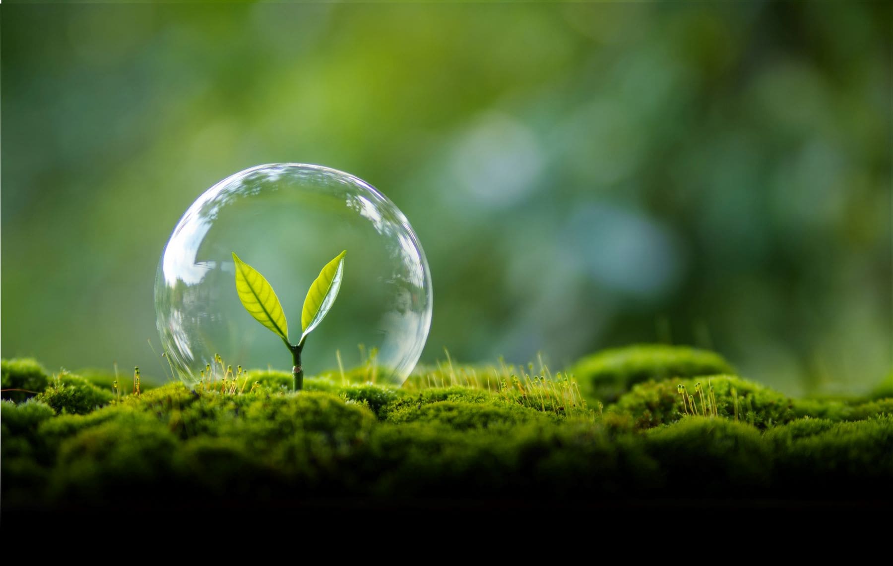 Herrera del Duque acogió el primer encuentro internacional del proyecto europeo REUSE4WILL