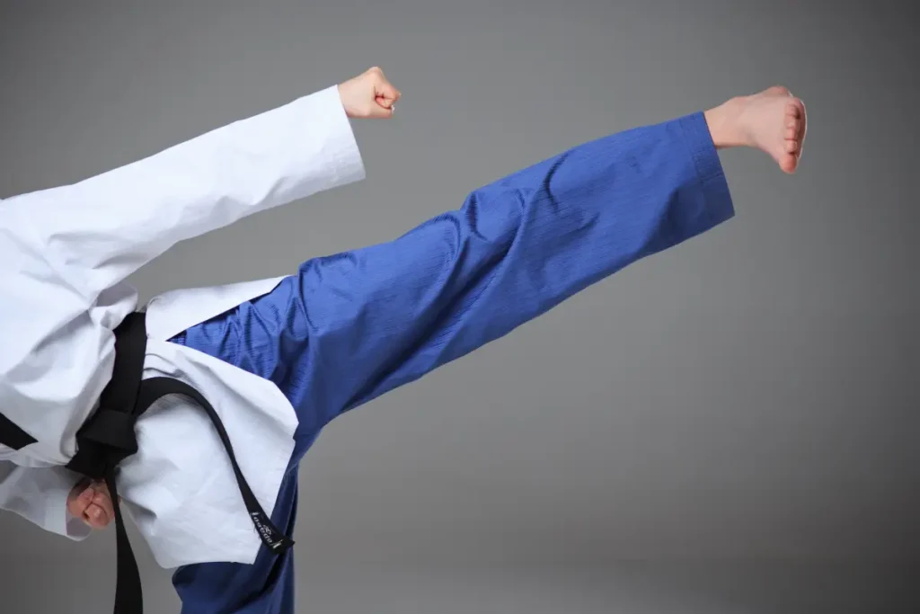 Bases para la selección de una plaza de monitor/a de karate para la EMD 2026/2027